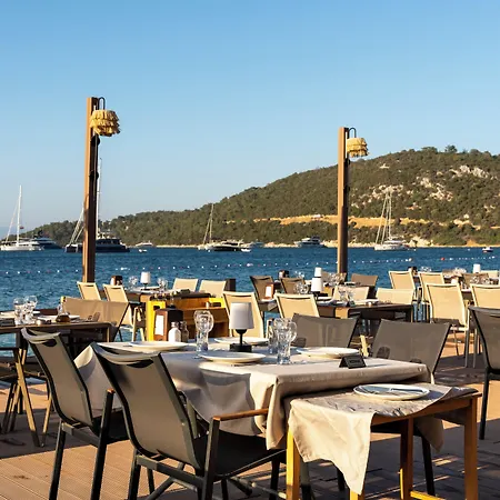 Daphnis ゴルトゥルブク