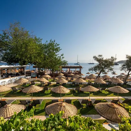 Hotel Daphnis Golturkbuku
