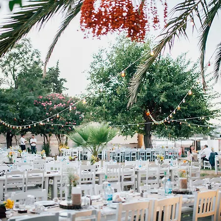 Отель Daphnis Гёльтюрбюку