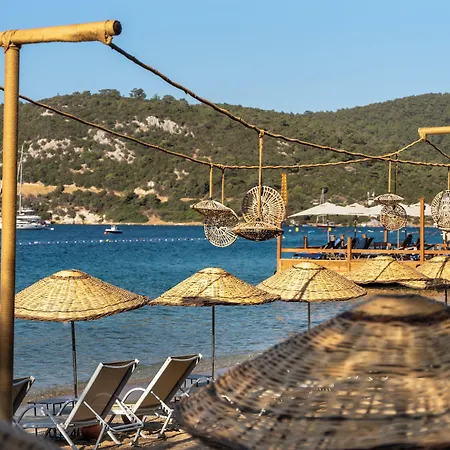 دافنيس فندق غولتوركبوكو