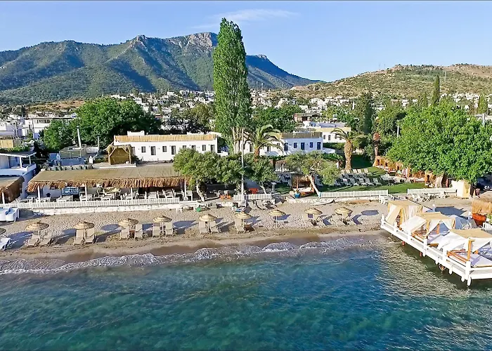 ホテル Daphnis ゴルトゥルブク